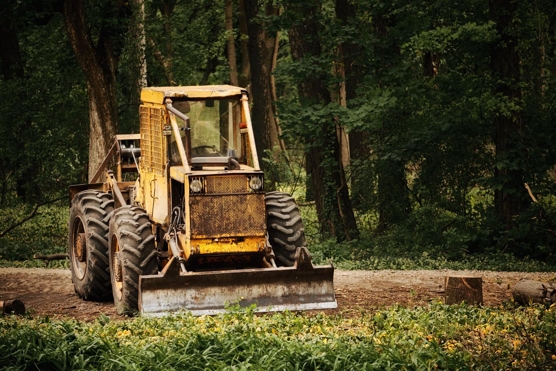 Heavy machinery clearing overgrown land in Middle Georgia - professional land clearing equipment