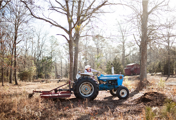 Forestry mulching overgrown brush on a Bibb County property near Lizella GA