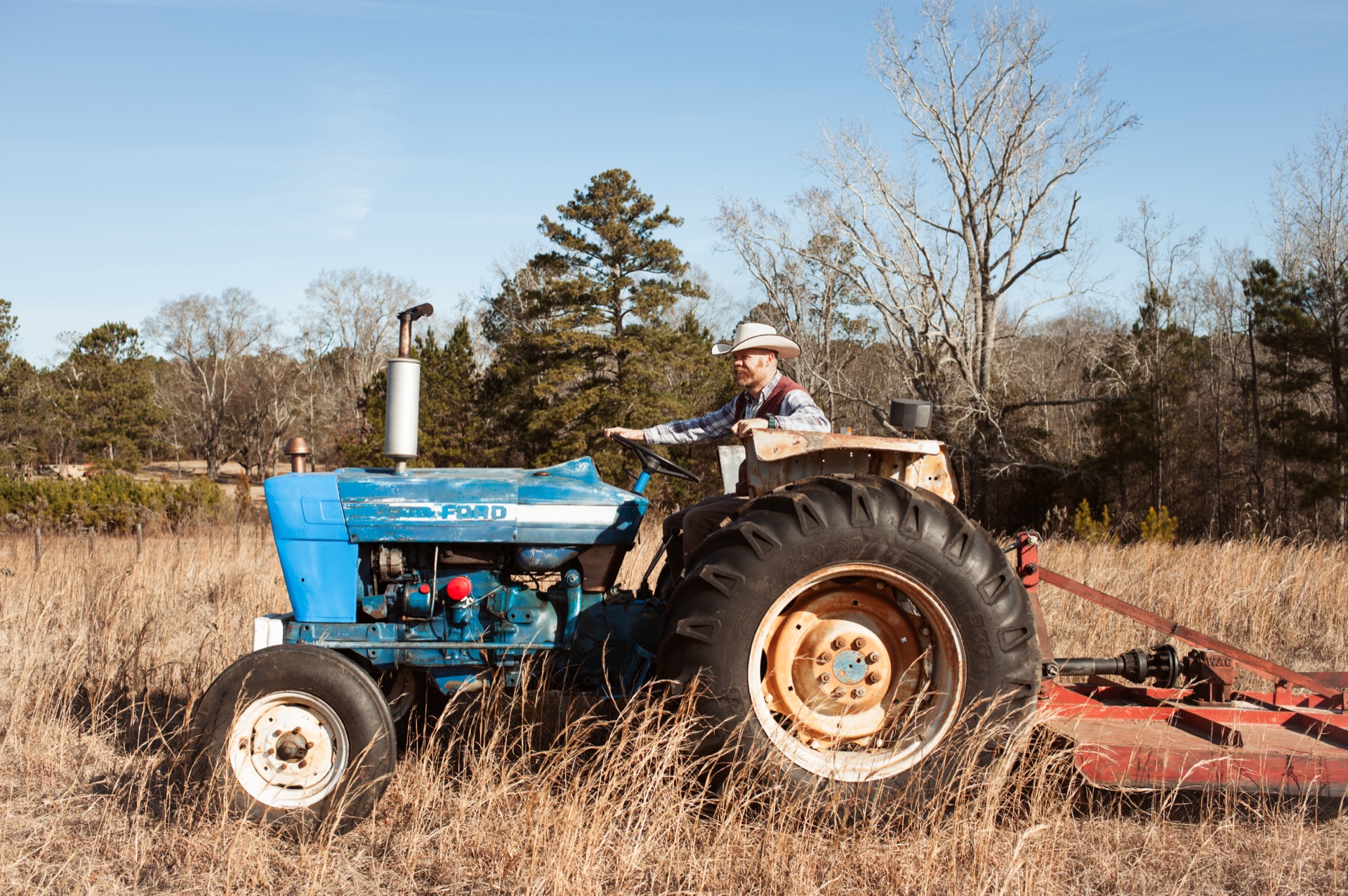 Forestry mulching as an alternative to stump grinding in Georgia