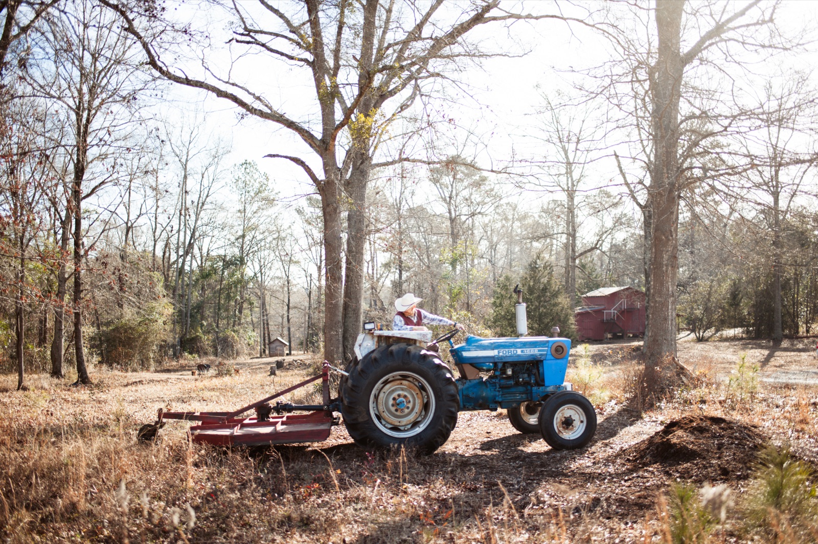 Land clearing service in Middle Georgia including stump removal