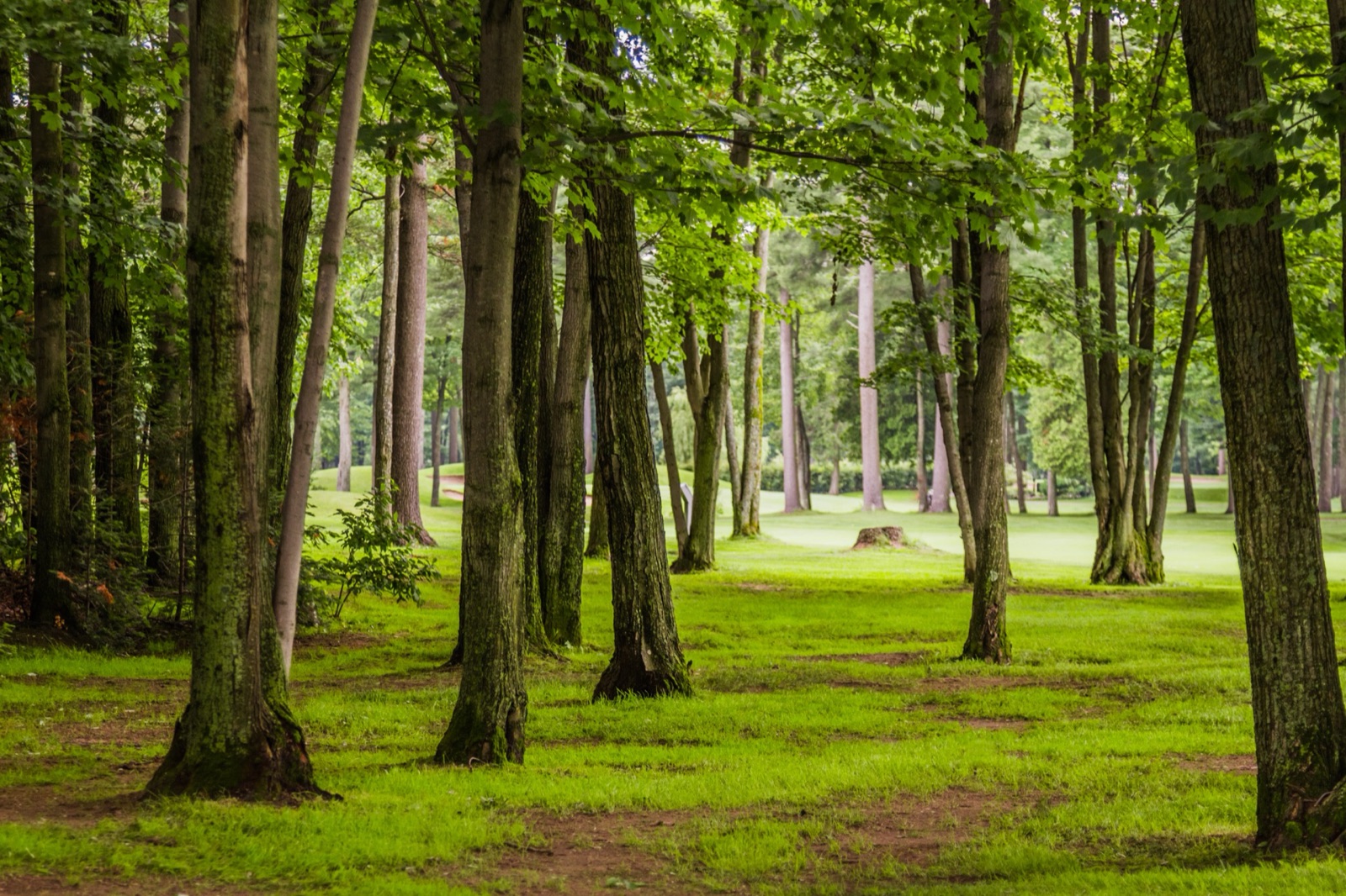 Ongoing landscaping and property maintenance in Middle Georgia