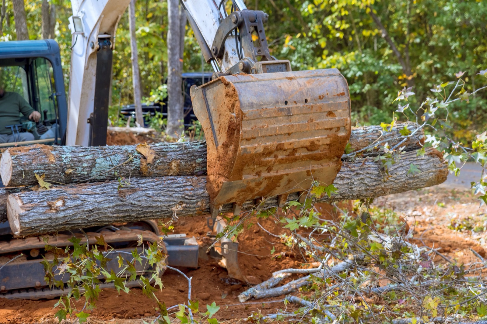 Tree removal service in Forsyth and Macon GA - complete tree cutting and removal