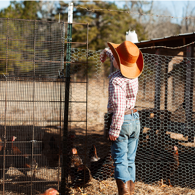 property maintenance in twiggs county